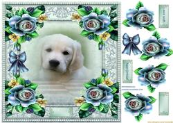 Puppy