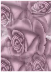 A4 Background Roses