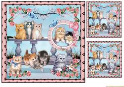 Cats,cats,cats