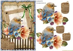 Birdsong in the Garden
