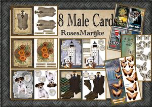 Bumperkit Male Cards