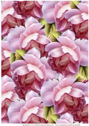 A4 Background Roses
