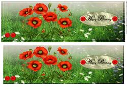 Large Dl Card Poppys