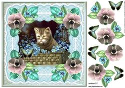 Vintage Cat in Lace Frame
