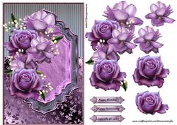 Classic Purple Roses Beauty