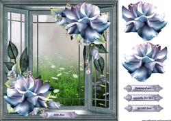 Window & Roses