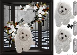 Window with Cute Puppy Black and Withe