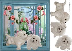 Window with Cute Puppys