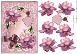 Pink Roses for the Ladies