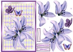 Lilac Lilies