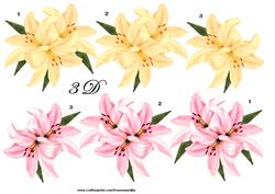 3 D Lilies