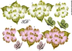 3 D Spring Flowers