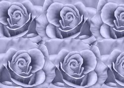 A4 Lilac Roses Background