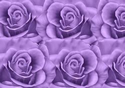 A4 Purple Roses Background
