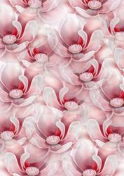 Magnolia Blossoms A4 Background