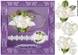 White Camelias & Lace