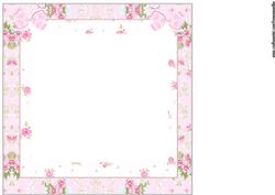 Vintage Baby Girl Insert