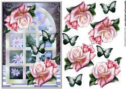 Window Roses & Daisies
