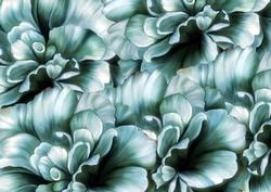 A4 Background Vintage Roses