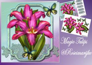 Minikit Magic Tulips