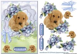 Scallop Cute Puppy 2