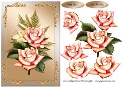 Classic Peach Roses