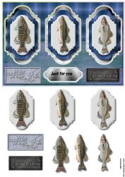 3 Panel Male Card Fishing