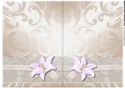 Insert Lace Shoes & White Lilies