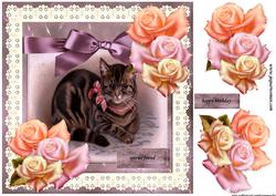 Vintage Kitten in Broderie Frame