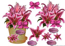 Flowerpot Orchids