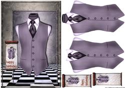Male Card Bleu Vest