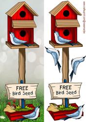 Birdhouse Large Dl Card