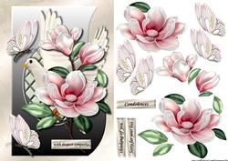 Shaped Card Lattice Sympathy