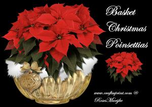 Minikit Basket Christmas Poinsettias