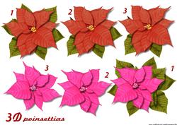 Poinsettia Red & Pink 3D