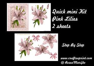Quick Mini Kit Pink Lilies