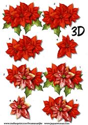 3D Poinsettia