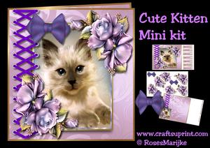 Cute Kitten Mini Kit