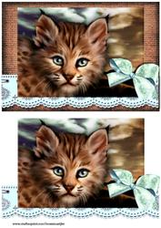 Beautiful Eyes -
