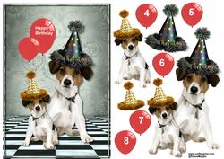 Birthday Boy Party Hats Puppy's