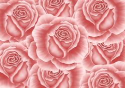 A 4 Vintage Roses
