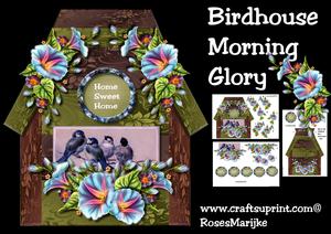 Birdhouse Morning Glory