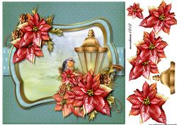 Beautiful Christmas Poinsettias 1