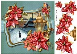Beautiful Christmas Poinsettias 2
