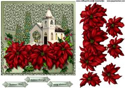 Beautiful Poinsettias 2