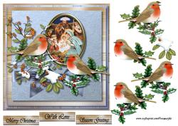 Robin's Christmas