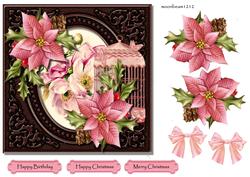 Pink Poinsettias Winter Birthday