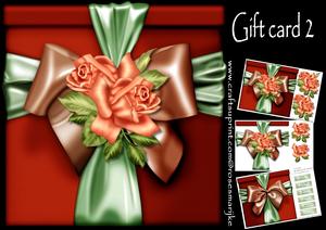 Special Gift Card 2 Mini Kit