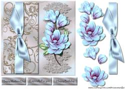 Beautiful Magnolias
