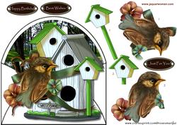 Male Envelop Card Birdhouses